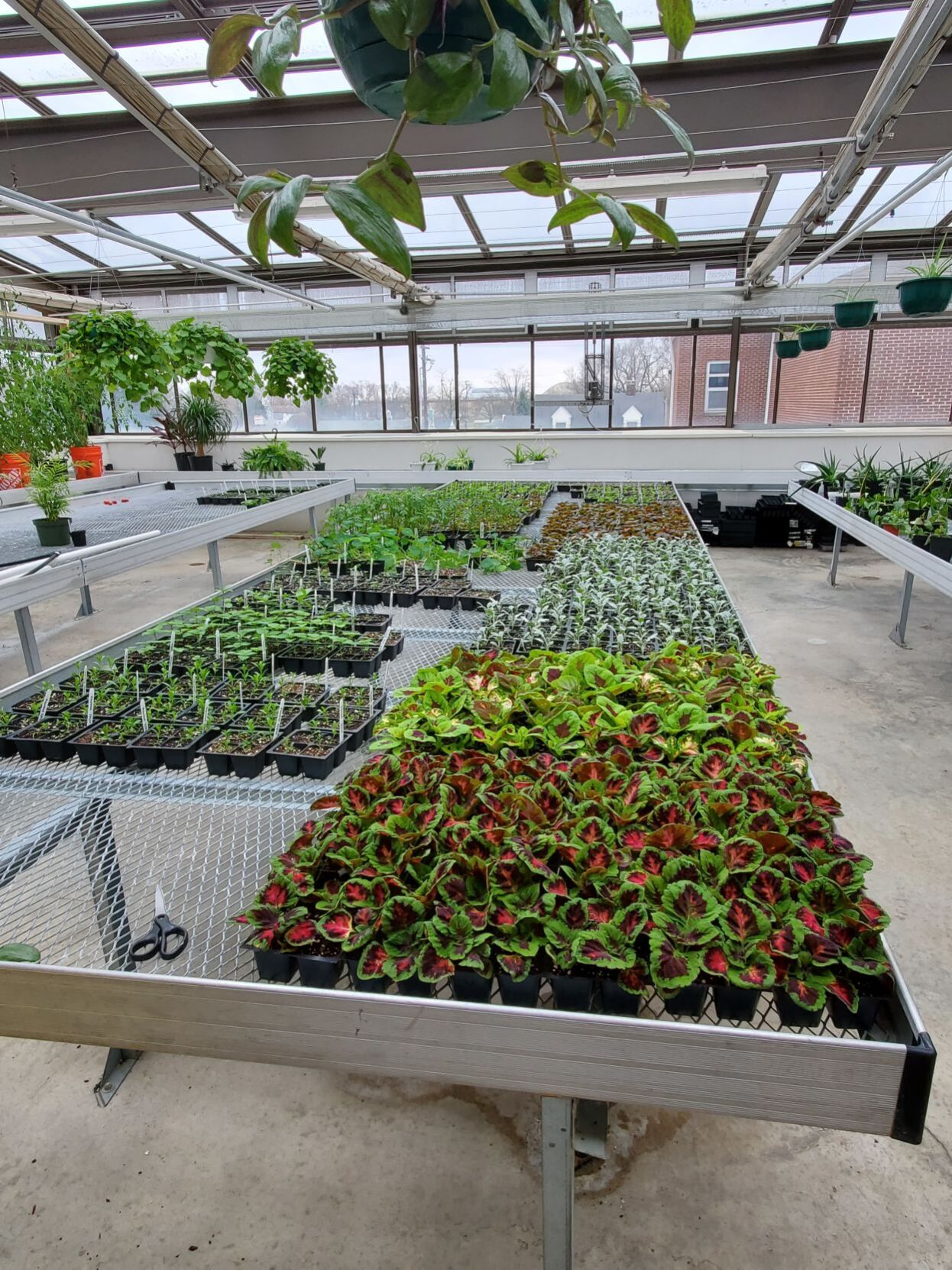 04022021 rantoul